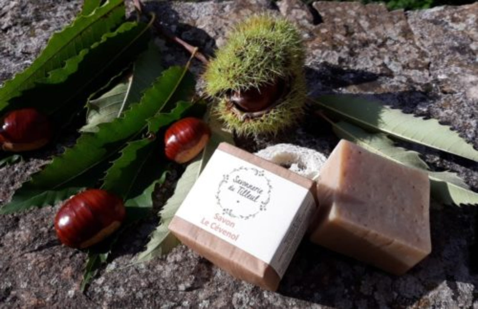 savon-naturel-visage-le-cevenol-chataigne-cosmetique-bio-et-naturel