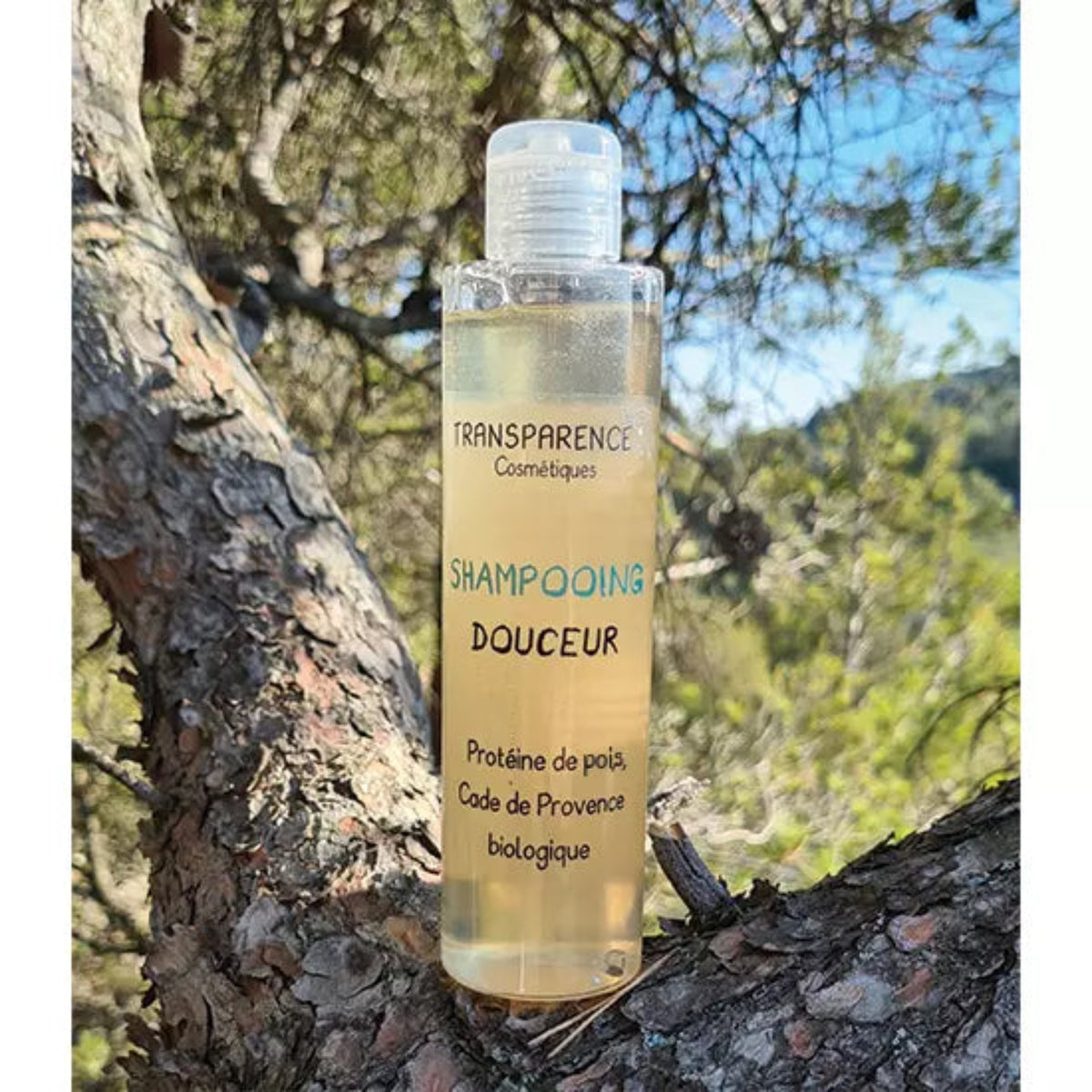 shampoing-douceur-cosmetique-bio-et-naturel-transparence