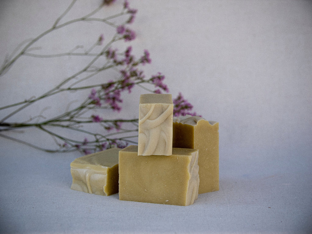 shampoing-solide-naturel-cheveux-secs-ambiance